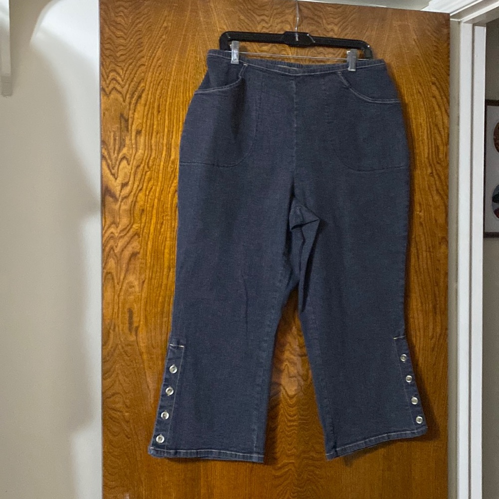 d&co / jeans / size 1X